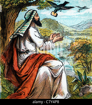 Bibel Geschichten-Illustration des Elias von Brook Cherith in der Nähe von Jordan Being Fed von Raben Stockfoto