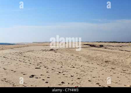 Menschen zu Fuß auf einem Sandstrand in der Algarve in Portugal. Stockfoto