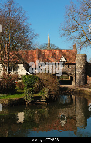 Zieht Fähre, Fluss Wensum Norwich Norfolk, England, Vereinigtes Königreich Stockfoto