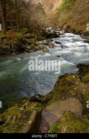 Glaslyn River fließt durch den Aberglaslyn Pass im Snowdonia National Park, Wales bekannt für sein kristallklares Wasser und landschaftliche Schönheit Stockfoto