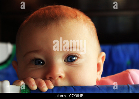 Blau-gemusterte Baby peeking über blaue Packung und spielen Krippe Stockfoto