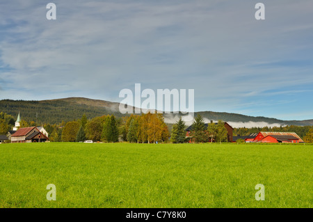 Wunderschöne herbstliche Landschaft des ländlichen Raums. In der Nähe von Korgen, Norwegen Stockfoto