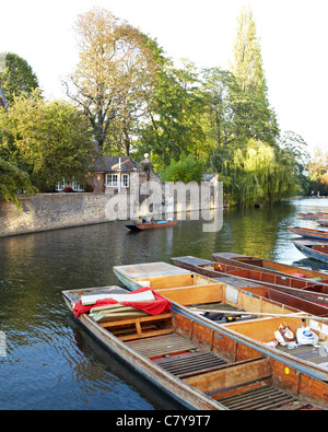 Bootfahren auf dem Fluss Cam Cambridge UK Stockfoto