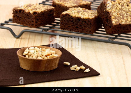 frische herrlich feucht Brownies mit einem tief fudgy Schokoladenaroma Stockfoto