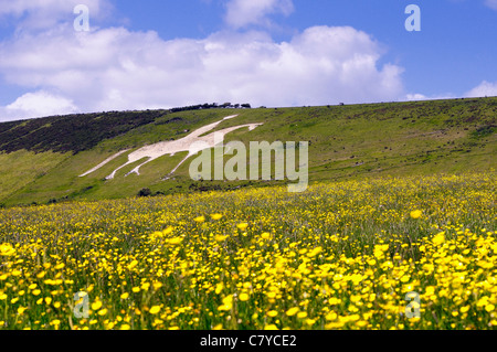 Schnitzen von König George III. auf seinem Pferd geschnitten in der Kreide von Osmington Hügel mit Blick auf Bucht Weymouth, Dorset UK Stockfoto