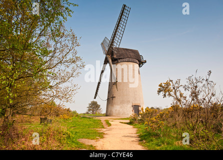 Bidston Windmühle, Bidston Hill, in der Nähe von Birkenhead, Wirral, Merseyside, England, Vereinigtes Königreich Stockfoto