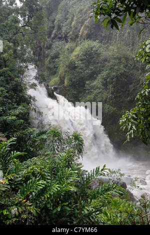 Haleakala National Park befindet sich in Kipahulu von Hana auf Maui. Die Pools O'heo Gulch sind bekannt als die 7 Heiligen Pools. Stockfoto