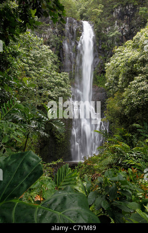 Haleakala National Park befindet sich in Kipahulu von Hana auf Maui. Die Pools O'heo Gulch sind bekannt als die 7 Heiligen Pools. Stockfoto