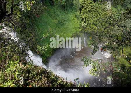 Haleakala National Park befindet sich in Kipahulu von Hana auf Maui. Die Pools O'heo Gulch sind bekannt als die 7 Heiligen Pools. Stockfoto