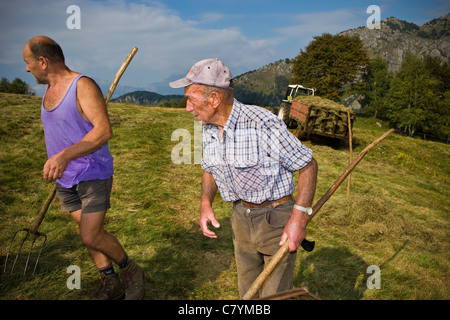 Bauern und Viehzüchter, Taleggio-Tal, Lombardei, Italien Stockfoto