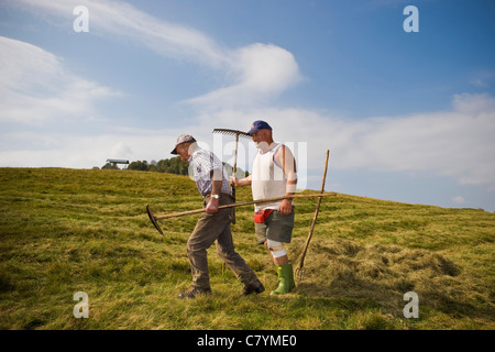 Bauern und Viehzüchter, Taleggio-Tal, Lombardei, Italien Stockfoto