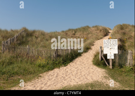 Pfad führt durch die Sanddünen zum Schutz von Erosion der Dünen vom Fuß fallen Dünengebieten Gras Stockfoto