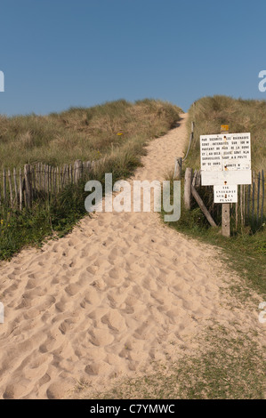 Pfad führt durch die Sanddünen zum Schutz von Erosion der Dünen vom Fuß fallen Dünengebieten Gras Stockfoto