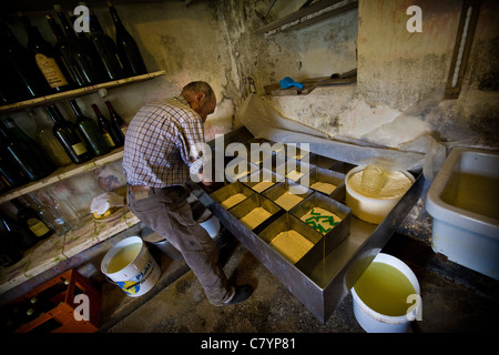 Guglielmo Locatelli im Labor seiner Molkerei Weide, Taleggio-Tal, Lombardei, Italien Stockfoto