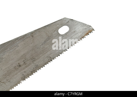 Makro-Ansicht von Sägeblatt isoliert auf weißem Hintergrund Stockfoto