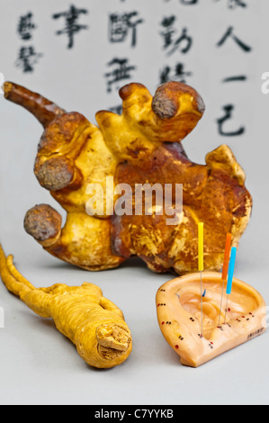 Reishi Pilz und Akupunktur Nadeln Stockfoto