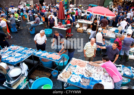 Traditionelle Fish shop Verkauf Meeresfrüchte am alten Markt in Catania, Sizilien, Sicilia, Italien Stockfoto