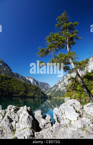 Gletschersee, Leopoldsteiner See, Österreich Stockfoto