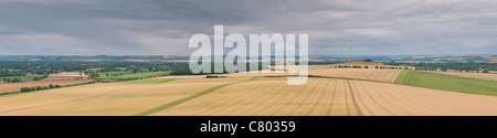 Vale of Pewsey gesehen vom Wanderer Hill, Wiltshire, Großbritannien (Bild Größe 97x22cm) Stockfoto