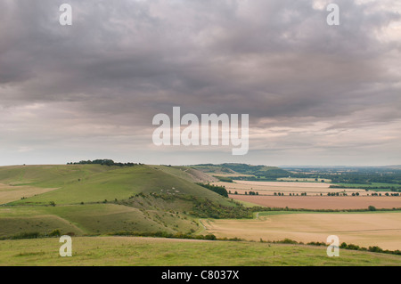 Blick vom Wanderer Hill in Richtung Knap Hill, in der Nähe von Alton, Wiltshire, UK Stockfoto