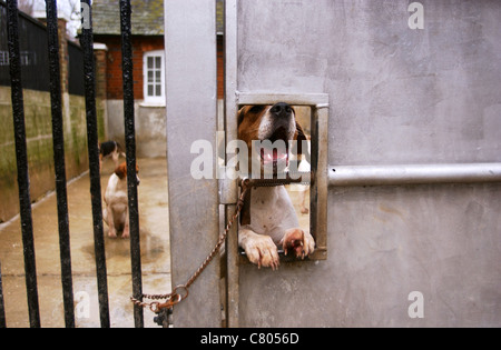 Mitglieder der Chiddingfold, Leconfield und Cowdray Hunt in Petworth am letzten Tag der Fuchsjagd im Jahr 2005 Stockfoto