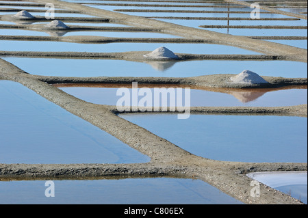 Salzpfanne für die Production von Fleur de Sel / Meersalz auf der Insel Île de Noirmoutier, La Vendée, Pays De La Loire, Frankreich Stockfoto