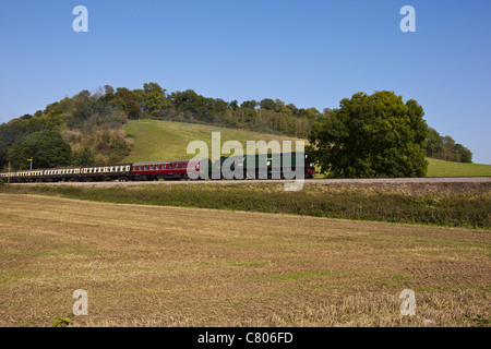 Somerset West-Dampfeisenbahn Stockfoto