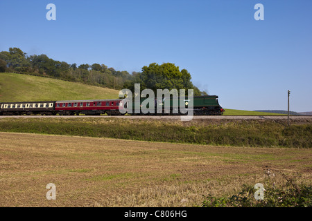 Somerset West-Dampfeisenbahn Stockfoto