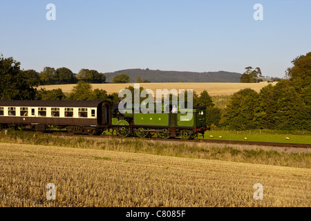 Somerset West-Dampfeisenbahn Stockfoto