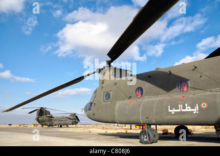 Italienische Armee CH - 47C Chinook-Hubschrauber nach vorne Operating Base Herat, regionalen Kommando West-Afghanistan. Stockfoto