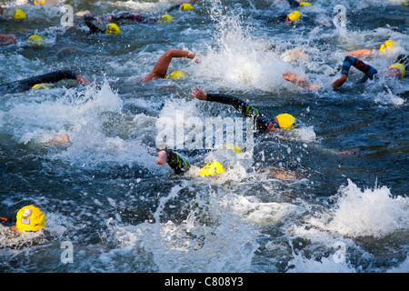 Wettbewerbern ab einer Langstrecke Freiwasserschwimmen event Stockfoto
