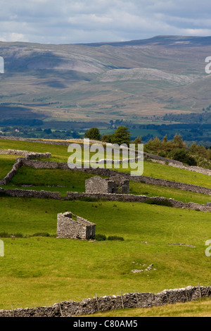 Stony Limestone Barns in the August Landscape and Countryside of Nateby, nr Kirkby Stephen, Cumbria, UK Stockfoto