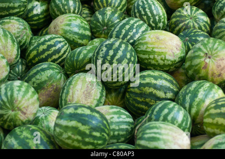 Wassermelonen zum Verkauf in Istanbul, Türkei. Stockfoto