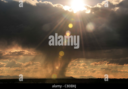 Wolken fallen Regen über die Sonora-Wüste, Tucson, Arizona, USA. Stockfoto