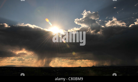 Wolken fallen Regen über die Sonora-Wüste, Tucson, Arizona, USA. Stockfoto