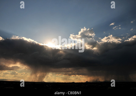 Wolken fallen Regen über die Sonora-Wüste, Tucson, Arizona, USA. Stockfoto