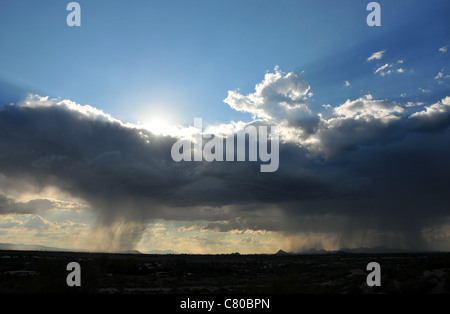 Wolken fallen Regen über die Sonora-Wüste, Tucson, Arizona, USA. Stockfoto