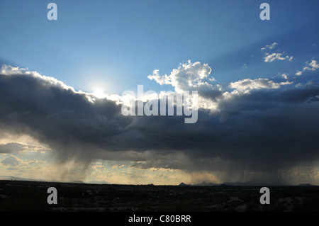 Wolken fallen Regen über die Sonora-Wüste, Tucson, Arizona, USA. Stockfoto