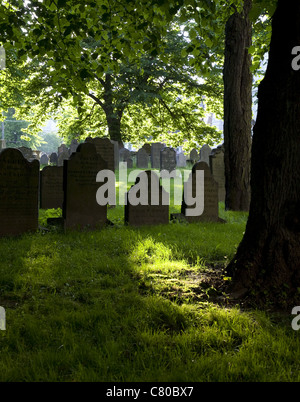 Friedhof Grabsteine im Abendlicht. Schatten, grünen Rasen, Frühjahr Blätter auf den Bäumen. Stockfoto