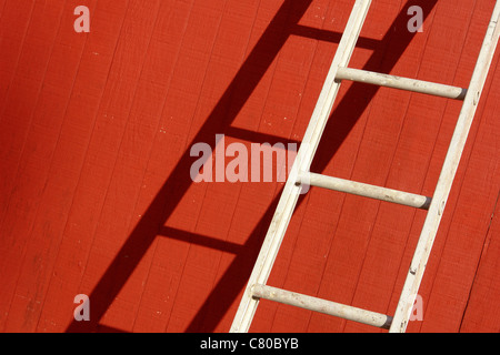 Ländliches Motiv der weiße Leiter lehnt sich an eine rote Wand Textfreiraum Stockfoto