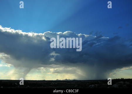 Wolken fallen Regen über die Sonora-Wüste, Tucson, Arizona, USA. Stockfoto