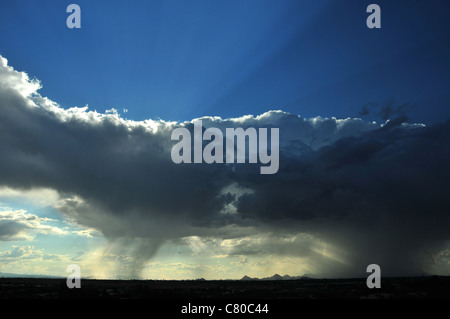 Wolken fallen Regen über die Sonora-Wüste, Tucson, Arizona, USA. Stockfoto