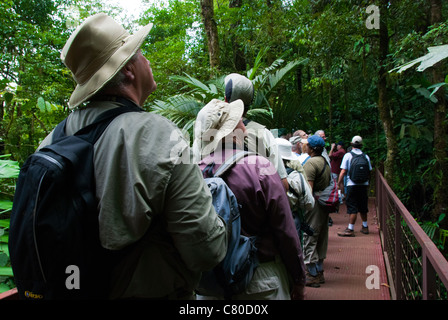 Vogelbeobachtung am Arenal Hängebrücke Parkanlage, Regenwald geschützt, in der Nähe von Arenal Volcano National Park. Costa Rica. Stockfoto