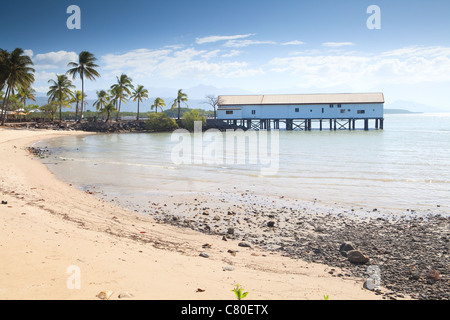 Port Douglas tropischen Queensland Australien Bootshaus mit Palmen Bäume Sand am Pol Strandhaus Stockfoto