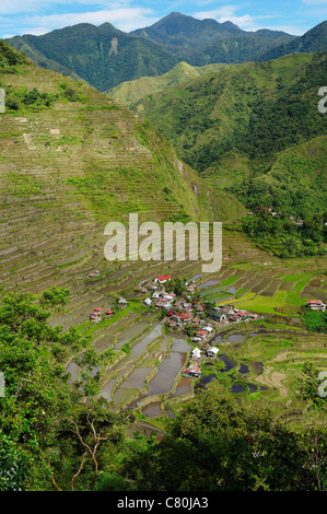 Philippinen, Insel Luzon, Banaue Reisfelder Stockfoto
