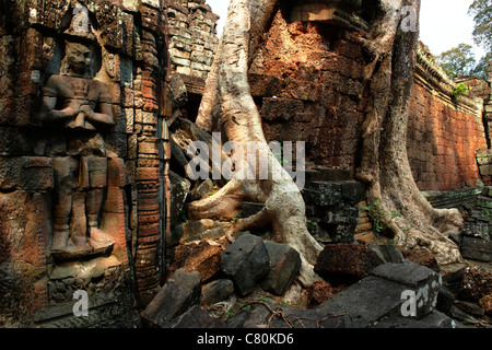 Siem Reap, Angkor, Kambodscha, Preah Khan, hinduistischen und buddhistischen Tempel Stockfoto