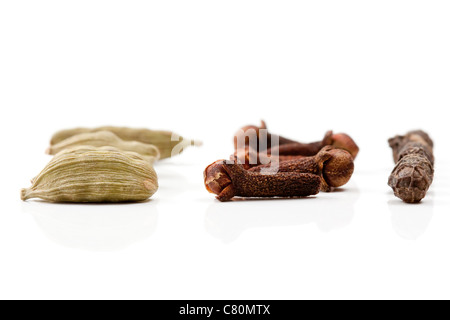 Typische indische Gewürze wie Nelken, Pfeffer und Kardamom. Stockfoto