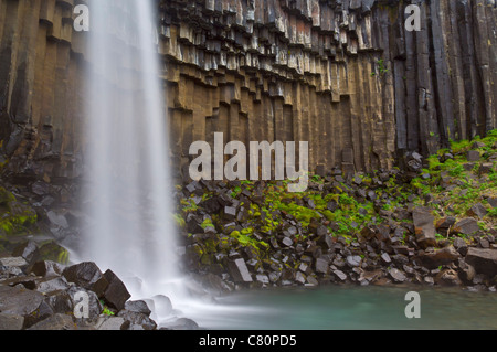 Wasserfall Svartifoss mit hohen Basaltsäulen langsame Geschwindigkeit Skaftafell Nationalpark South Island EU Europa Stockfoto