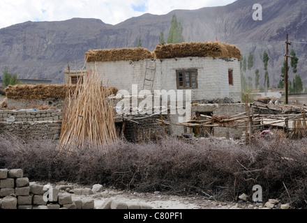 Ein traditionelles Flachdach Haus in Ladakh Nubra Tal. Heu für Winterfutter ist auf dem Dach gelagert. Stockfoto