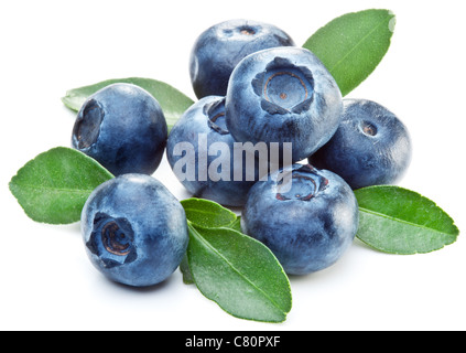 Heidelbeeren mit Blättern auf weißem Hintergrund. Stockfoto